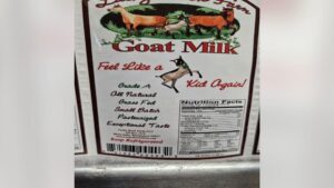 Sữa dê Lucky Hook Farm bị thu hồi tại Washington do nghi ngờ thiếu quy trình tiệt trùng