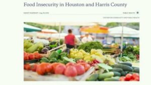 Hiểu về An ninh lương thực và Tìm kiếm sự giúp đỡ ở Houston