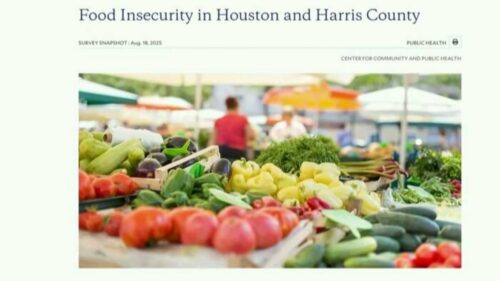Hiểu về An ninh lương thực và Tìm kiếm sự giúp đỡ ở Houston