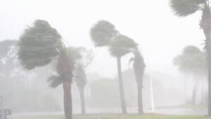 Bão Isaias Có Thể Khiến Chủ Nhà Đông Nam Texas Phải Trả Phí Khấu Trừ Bảo Hiểm Cao Hơn