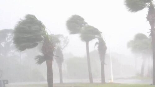 Bão Isaias Có Thể Khiến Chủ Nhà Đông Nam Texas Phải Trả Phí Khấu Trừ Bảo Hiểm Cao Hơn