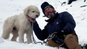 Chó Mất Tích Trong Vụ Lở Tuyết Ở Alaska Được Tìm Thấy Sống Sót Kỳ Diệu Sau 2 Ngày