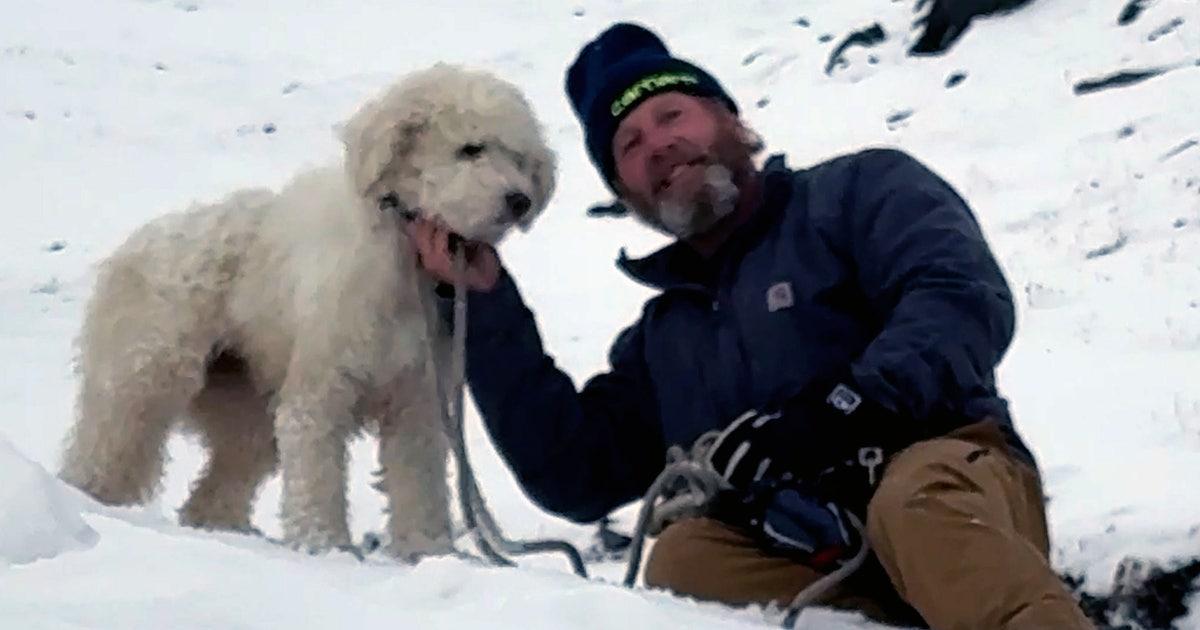 Chó Mất Tích Trong Vụ Lở Tuyết Ở Alaska Được Tìm Thấy Sống Sót Kỳ Diệu Sau 2 Ngày