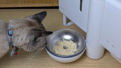 Tương lai của máy cho mèo ăn thức ăn ướt đã đến: Đánh giá Neakasa Riko