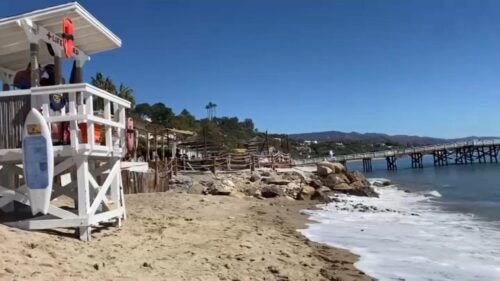 Cá Kayak Bị Cá Mập Tấn Công Ngoài Bờ Biển Malibu