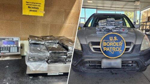 51 Pao Fentanyl Bị Thu Giữ Trong Chiến Dịch Tuần Tra Biên Giới Tại Quận San Diego