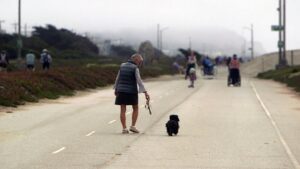 Cử tri San Francisco quyết định tương lai Đại Lộ Great Highway và Công Viên Sunset Dunes