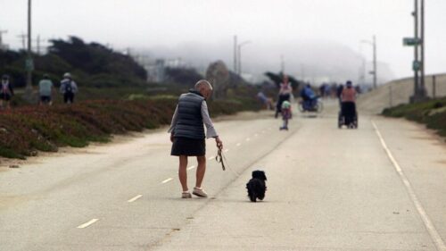 Cử tri San Francisco quyết định tương lai Đại Lộ Great Highway và Công Viên Sunset Dunes