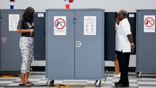 Các Tiểu Bang Phản Đối Tuyên Bố Của Tổng Thống Trump Về Phi Công Dân Lập Phiếu