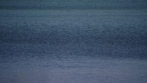 Thi thể thiếu niên mất tích khi bơi ở Bãi biển Surfside đã được tìm thấy