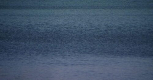 Thi thể thiếu niên mất tích khi bơi ở Bãi biển Surfside đã được tìm thấy
