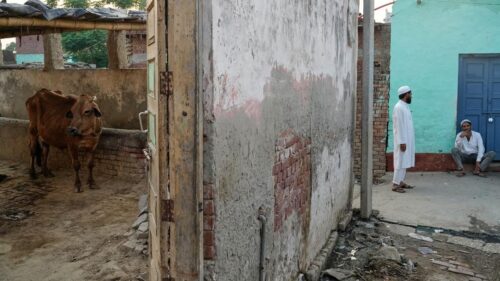 Cảnh sát Ấn Độ bị tố bắn nghi phạm buôn lậu bò, làm dấy lên lo ngại về sự tùy tiện và thiên vị