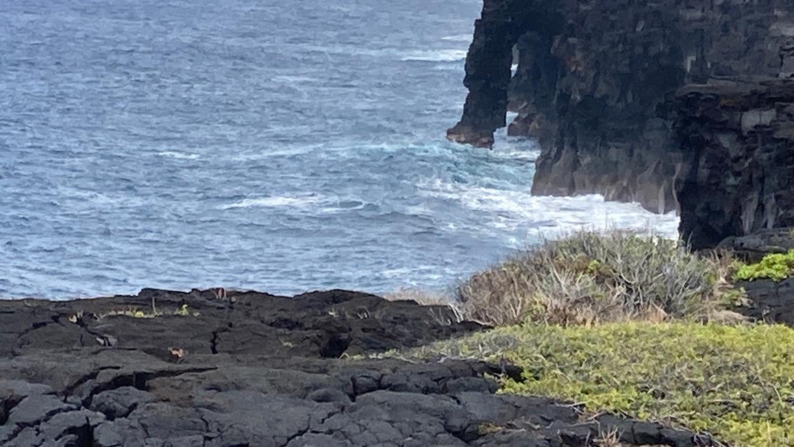 Vòm đá biển nổi tiếng ở Hawaii sụp đổ, Cơ quan Công viên Quốc gia cảnh báo về vách đá không ổn định