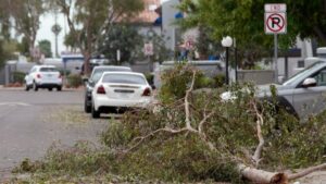 Hạt Đảo Kích Thước Trứng Golf Giáng Xuống Arizona Khi Cơn Bão Hiếm Gặp Đột Ngột Ứng Xử Tại Miền Tây