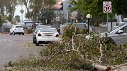 Hạt Đảo Kích Thước Trứng Golf Giáng Xuống Arizona Khi Cơn Bão Hiếm Gặp Đột Ngột Ứng Xử Tại Miền Tây