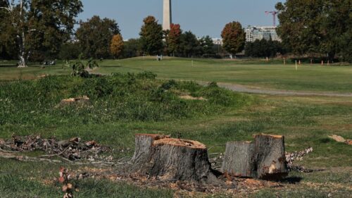 Thẩm phán gia hạn lệnh cấm kế hoạch cải tạo sân golf của Tổng Thống Donald Trump