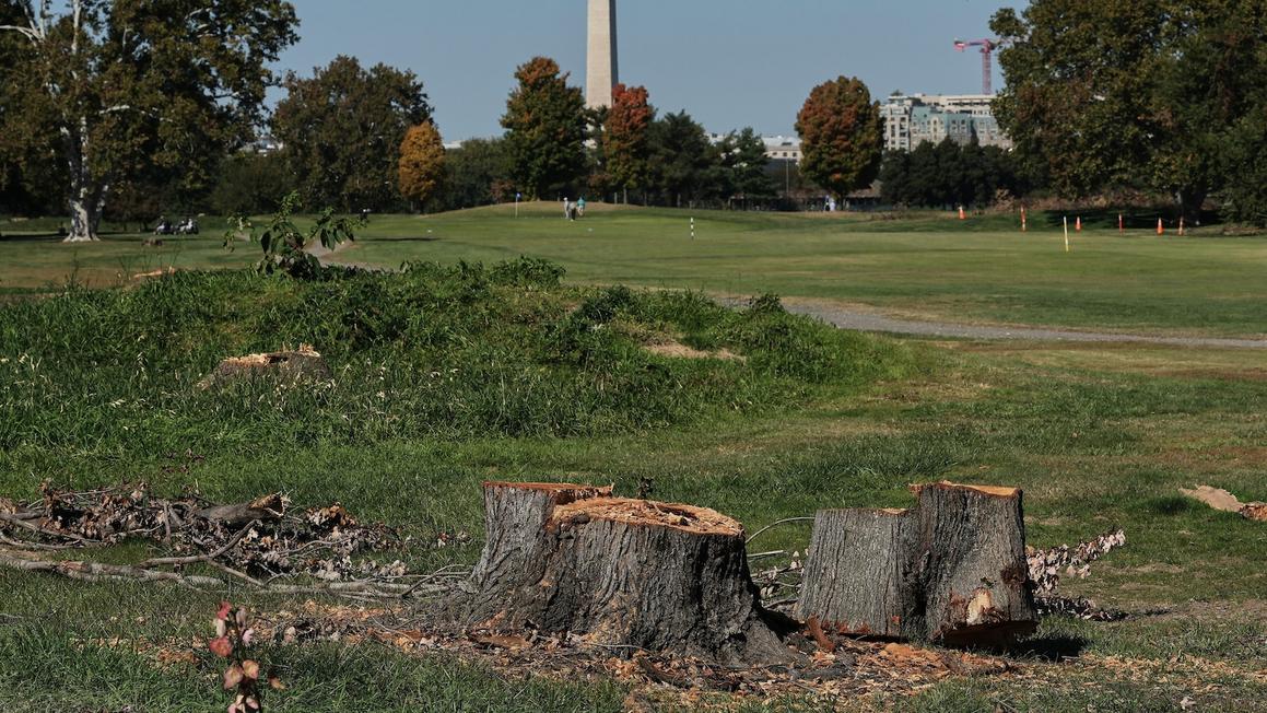 Thẩm phán gia hạn lệnh cấm kế hoạch cải tạo sân golf của Tổng Thống Donald Trump