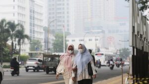 Bốn người thiệt mạng, hai người bị bỏng nặng khi chữa cháy rừng ở Indonesia